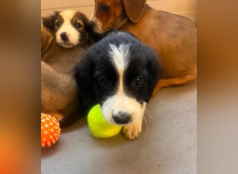 Abby – kleine Entdeckerin ❤️