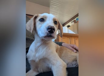 Fanni – kleines Mädchen auf der Suche nach Liebe 