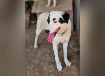 Beverly – neugierig, stark und bereit fürs Abenteuer Leben
