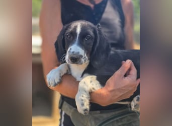 Abby – kleine Entdeckerin ❤️