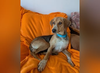 Irmela – liebevolle und fürsorgliche Hundemama 