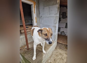 Lucky, hol dir das Glück ins Haus