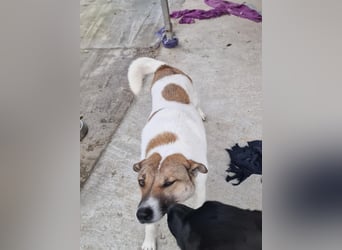 Lucky, hol dir das Glück ins Haus