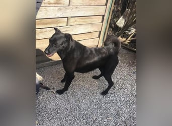 Adri VA, weiß was sie will