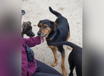 Neymar VA - sensibel, freundlich