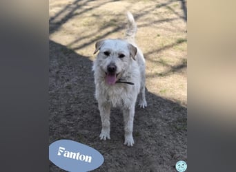 Fanton - freundlich und neugierig