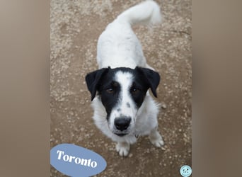 Toronto - fröhlich und freundlich