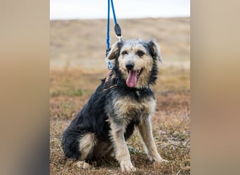 Pitypang SI- vorsichtig, zurückhaltend