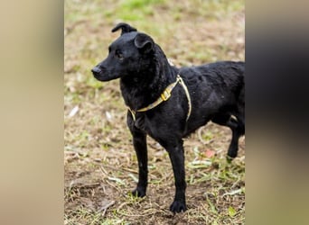 Adri VA, weiß was sie will