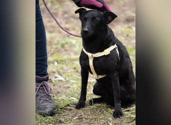 Adri VA, weiß was sie will