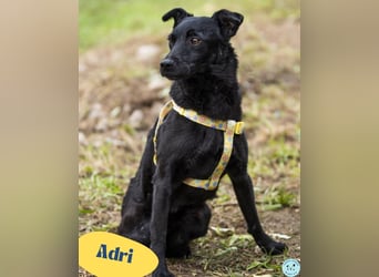 Adri VA, weiß was sie will