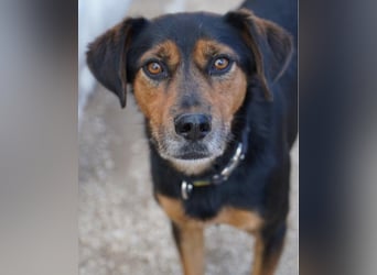 Neymar VA - sensibel, freundlich