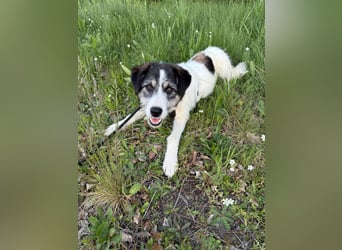 Sanfte Nele (8 Mon, 42 cm) sucht liebevolles Zuhause