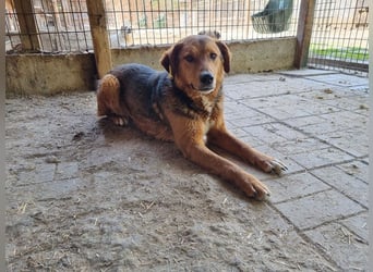 ♥YULANI♥ zauberhaftes, ganz menschenbezogenes echtes Herzensmädchen 50 cm