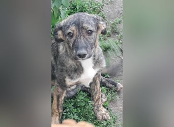 Lara wünscht sich ein Zuhause