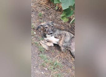 Lara wünscht sich ein Zuhause