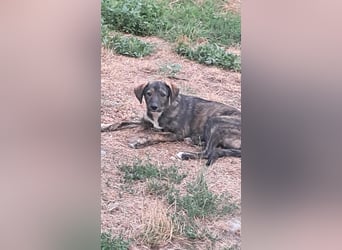 Lara wünscht sich ein Zuhause