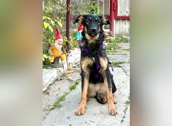 Enola, die sanfte Dame !!