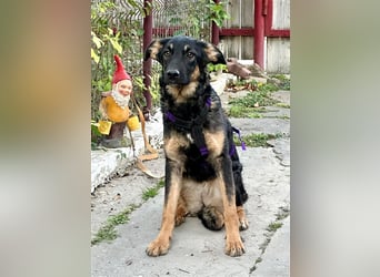 Enola, die sanfte Dame !!