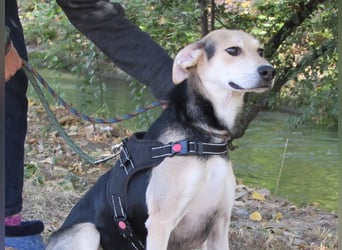 Ilay - Freude, Spaß und pure Liebe