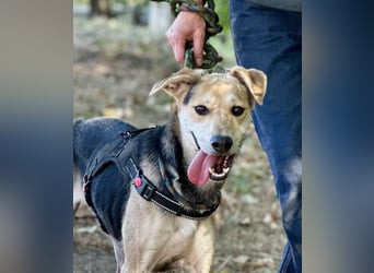 Ilay - Freude, Spaß und pure Liebe