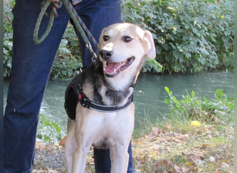 Ilay - Freude, Spaß und pure Liebe