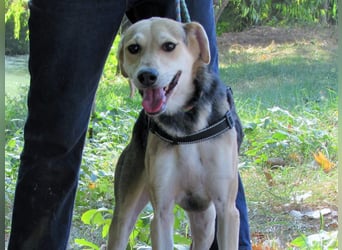 Ilay - Freude, Spaß und pure Liebe