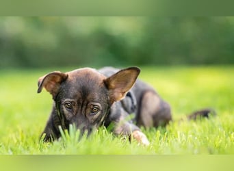 Boy ❤️ vom Alleinsein ins Familienglück
