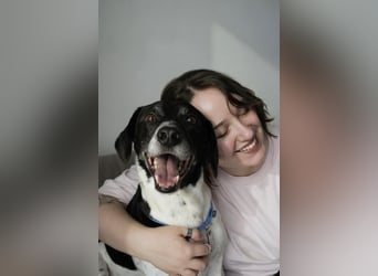 Verschmuster Rüde „Krem“ ❤️ sucht endlich ein verlässliches Zuhause