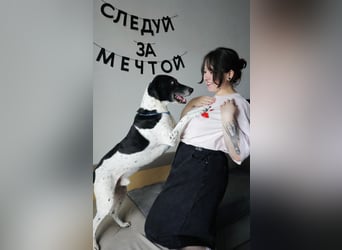 Verschmuster Rüde „Krem“ ❤️ sucht endlich ein verlässliches Zuhause