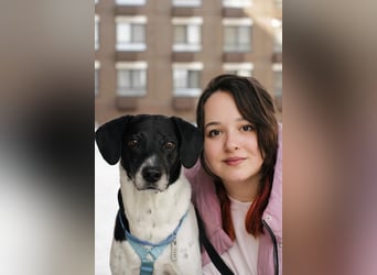 Verschmuster Rüde „Krem“ ❤️ sucht endlich ein verlässliches Zuhause
