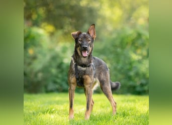 Boy ❤️ vom Alleinsein ins Familienglück