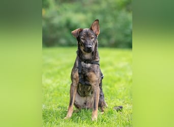 Boy ❤️ vom Alleinsein ins Familienglück