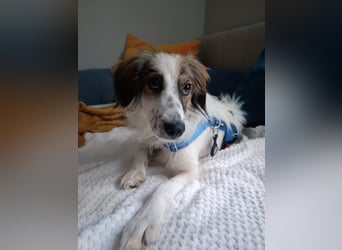 Faya ❤️ Kleine Kuschelprinzessin sucht ihre Herzensmenschen