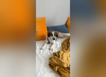 Faya ❤️ Kleine Kuschelprinzessin sucht ihre Herzensmenschen