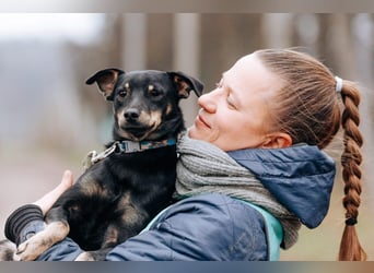 Theodor ❤️ kein Straßenhund, sondern ein Herzenshund