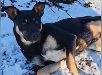 Sam ❤️ lebensfroher Wirbelwind sucht aktive Menschen