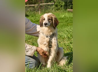 Faya ❤️ Kleine Kuschelprinzessin sucht ihre Herzensmenschen