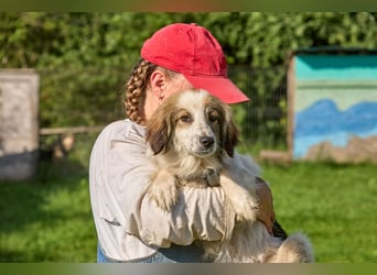 Faya ❤️ Kleine Kuschelprinzessin sucht ihre Herzensmenschen