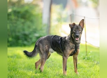 Boy ❤️ vom Alleinsein ins Familienglück