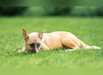 Anouka ❤️ sanftes Herz sucht ihr Glück