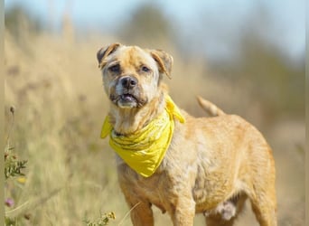Jack ❤️ sucht sein Für-Immer-Zuhause