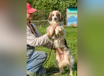 Faya ❤️ Kleine Kuschelprinzessin sucht ihre Herzensmenschen