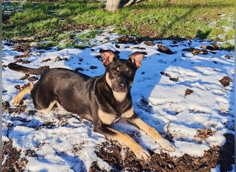 Sam ❤️ lebensfroher Wirbelwind sucht aktive Menschen