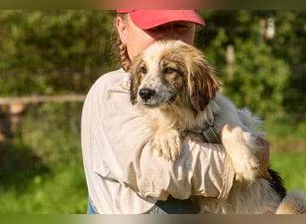 Faya ❤️ Kleine Kuschelprinzessin sucht ihre Herzensmenschen