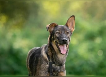 Boy ❤️ vom Alleinsein ins Familienglück