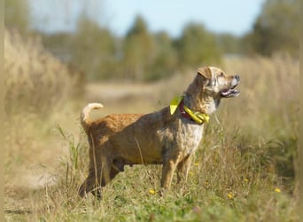 Jack ❤️ sucht sein Für-Immer-Zuhause