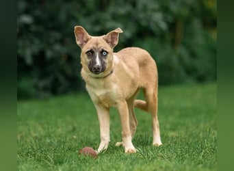 Anouka ❤️ sanftes Herz sucht ihr Glück