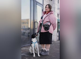 Verschmuster Rüde „Krem“ ❤️ sucht endlich ein verlässliches Zuhause