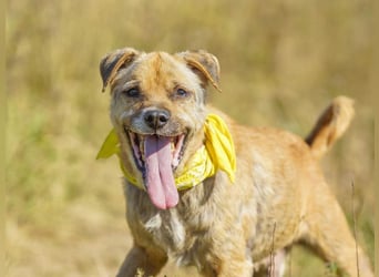 Jack ❤️ sucht sein Für-Immer-Zuhause